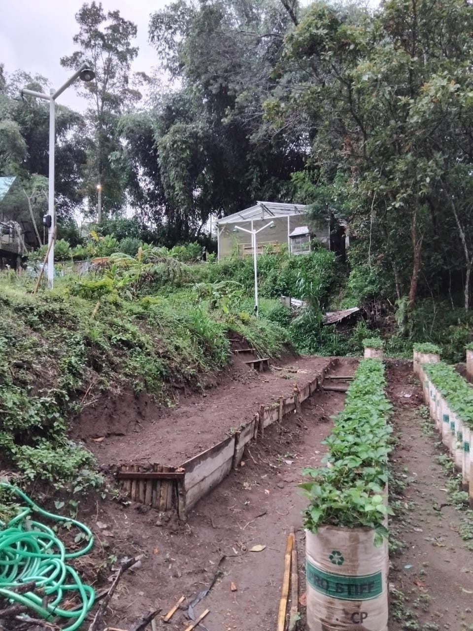 Kebun & Pertanian