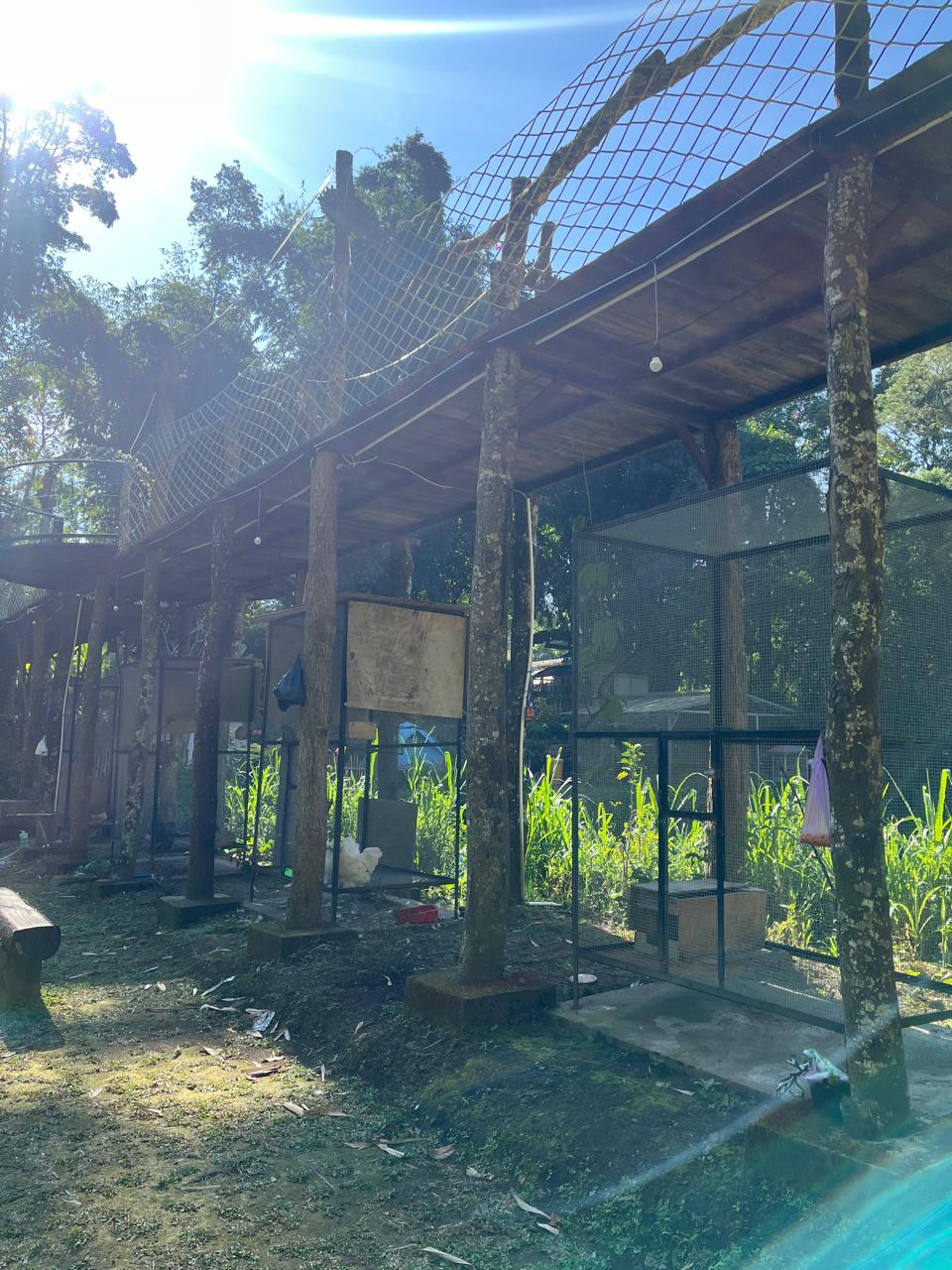 Mini Zoo