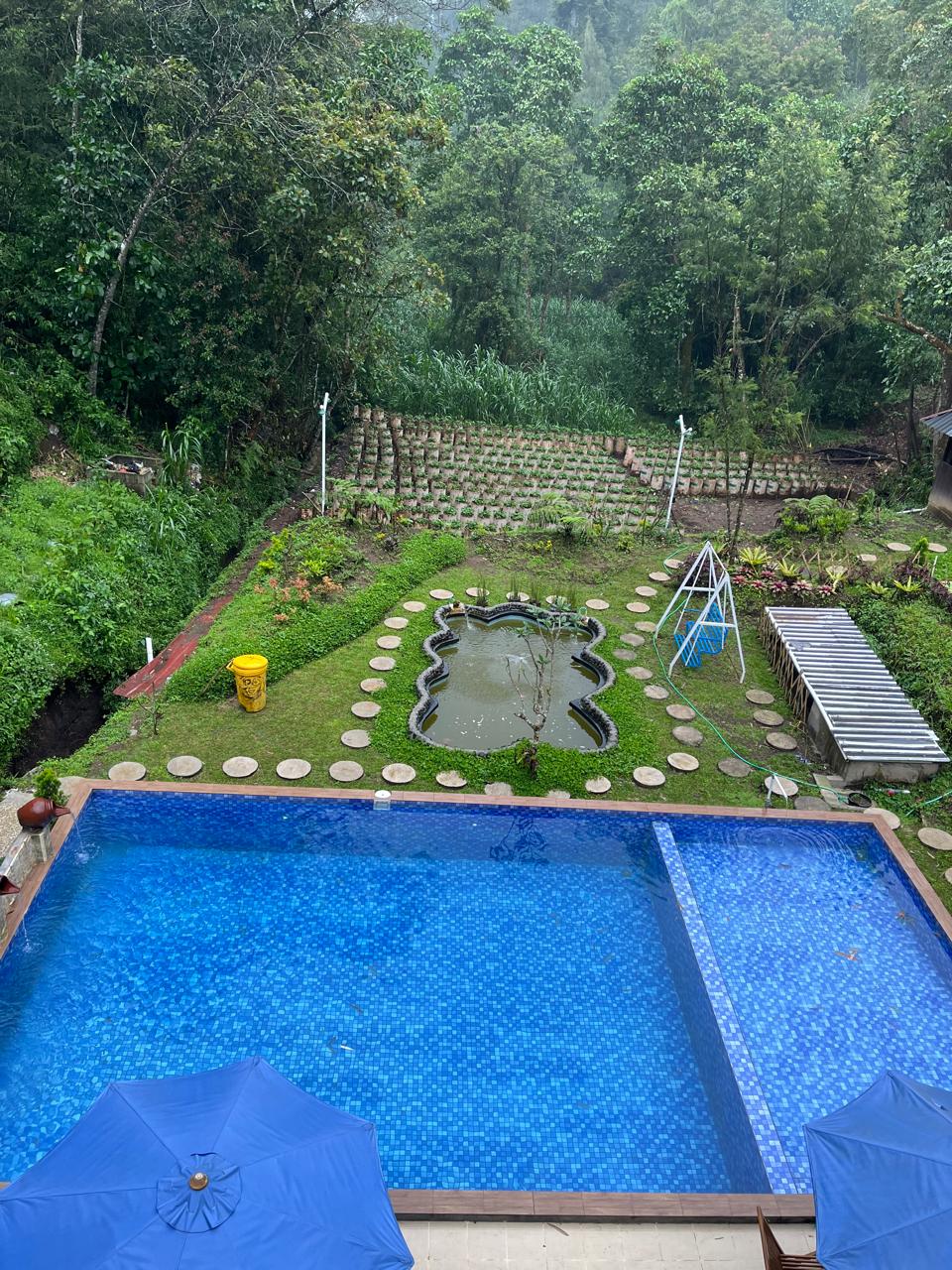 Pool aerial view with garden